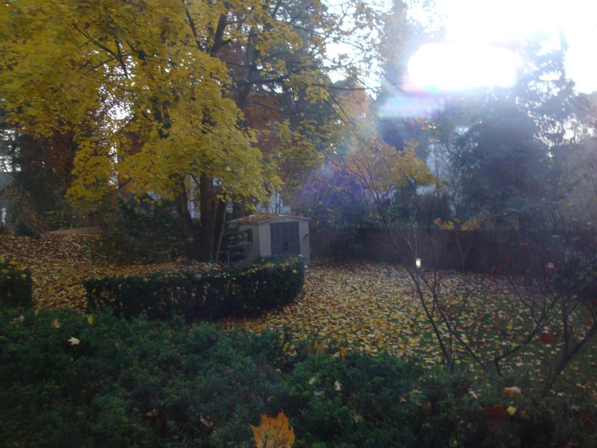 Hotel Landhaus Schlachtensee — Fotos 2
